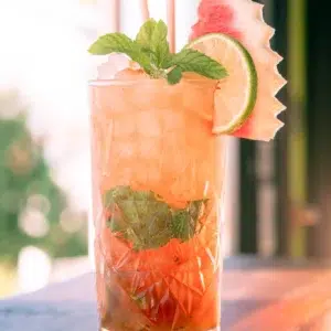 Mojito de Frutas | S/A