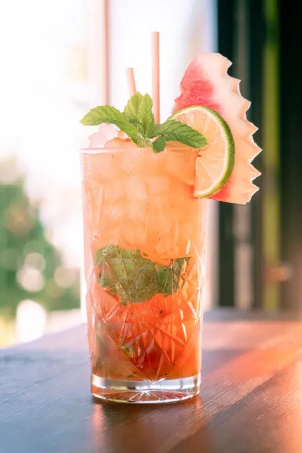 Mojito de Frutas | S/A